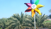 wind, windmill, pinwheel, palm trees, oasis